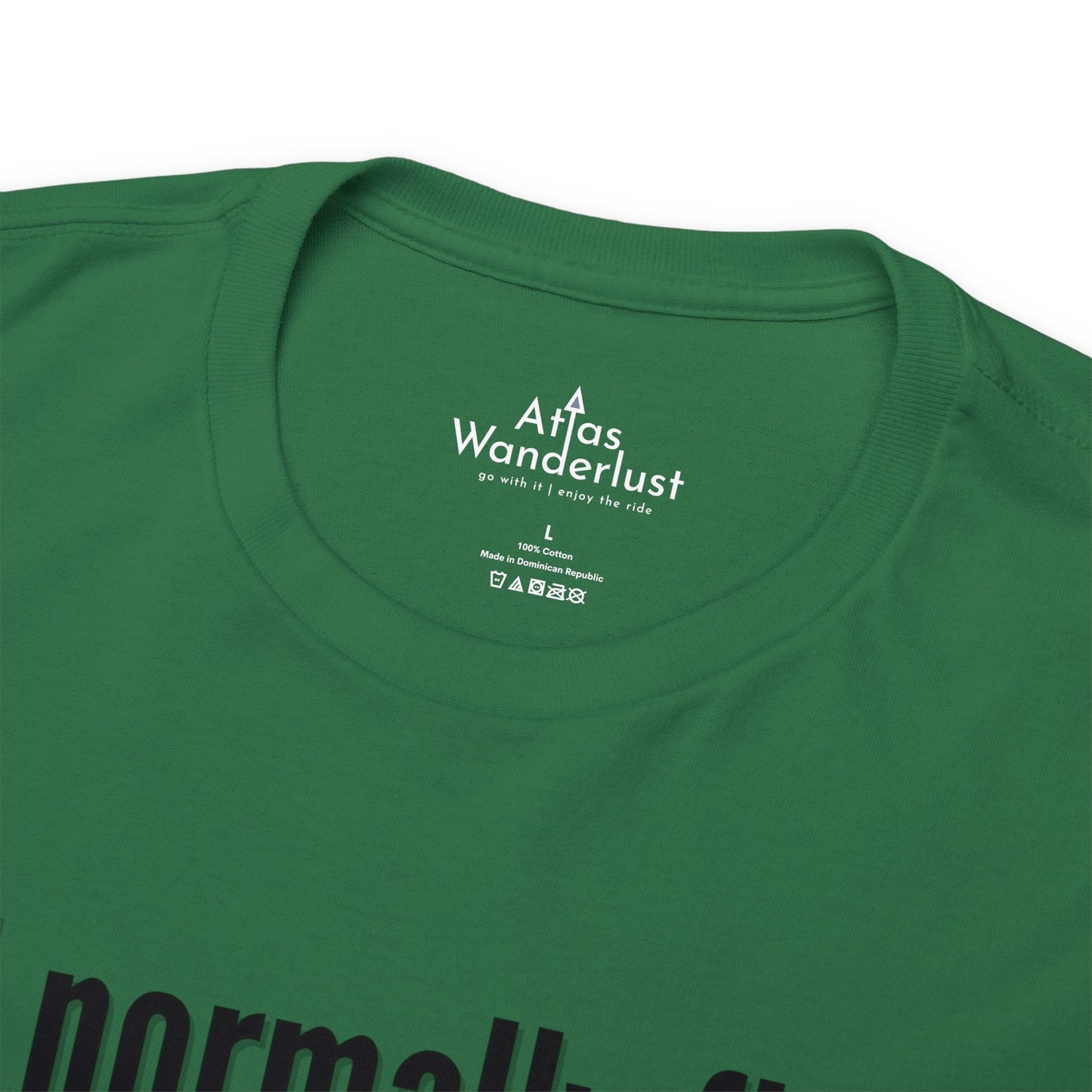 I normally Fly 1st Class T-Shirt, Funny Travel Tee Atlas Wanderlust