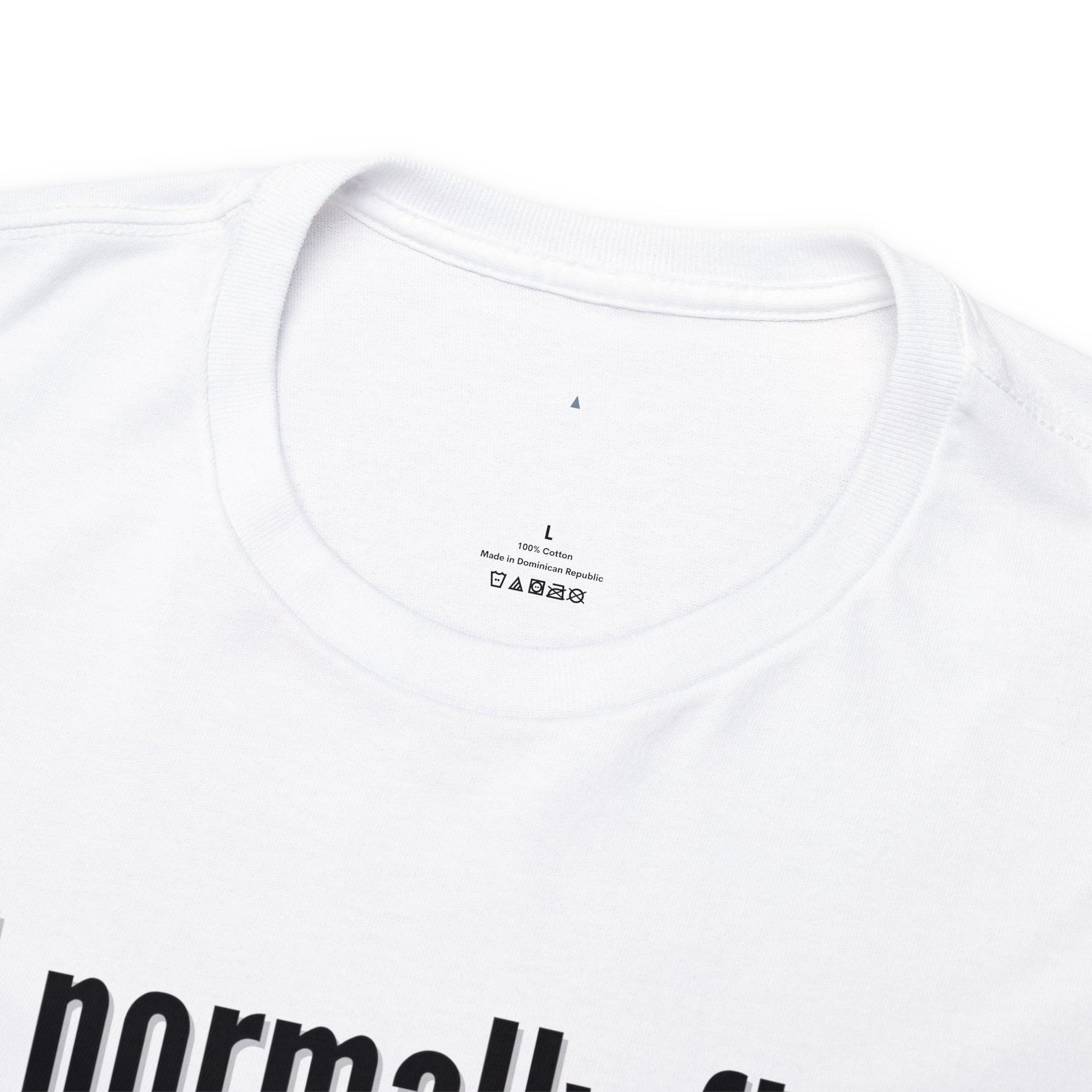 I normally Fly 1st Class T-Shirt, Funny Travel Tee Atlas Wanderlust