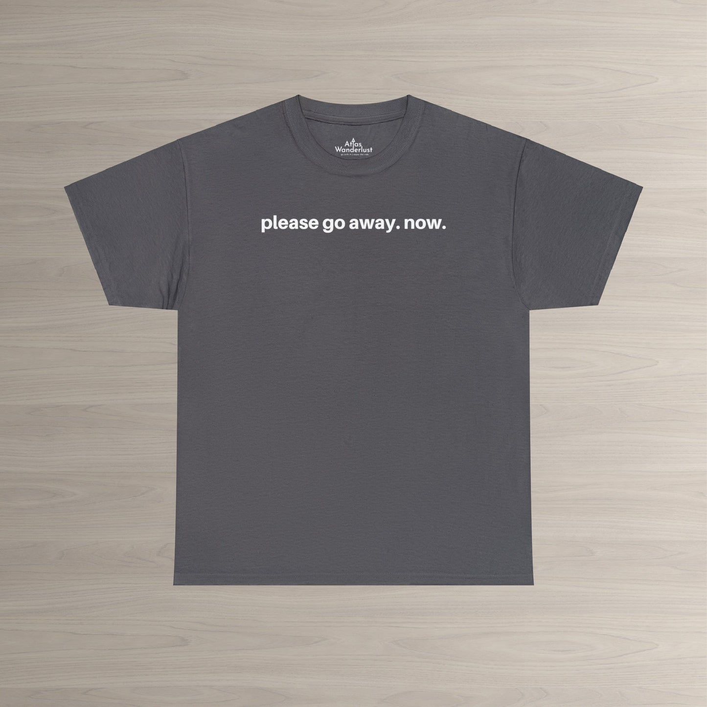 Please go away. now T-Shirt, Sarcasm Tee Atlas Wanderlust