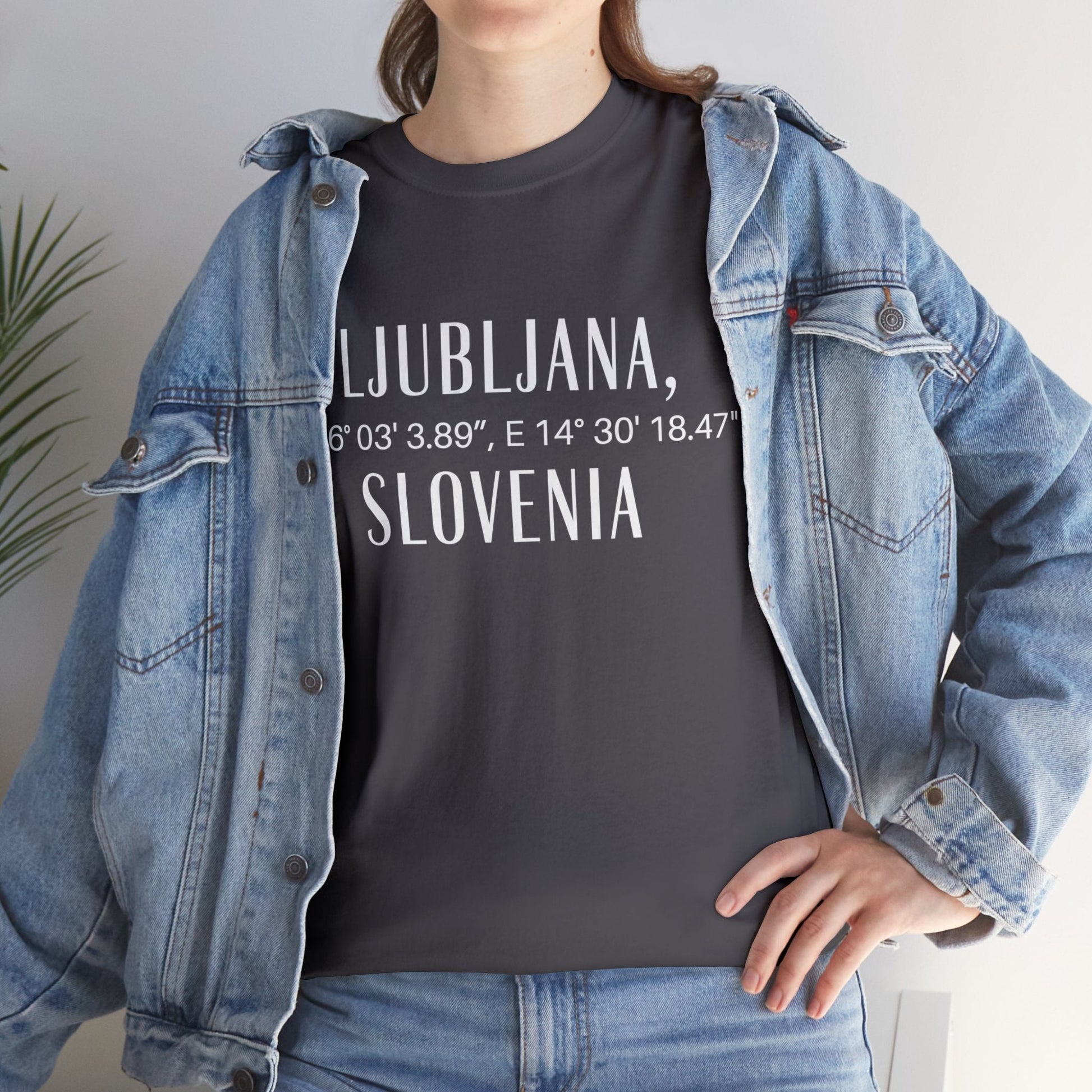 Ljubjana Slovenia Coordinates Tee, Modern Travel Tee Atlas Wanderlust