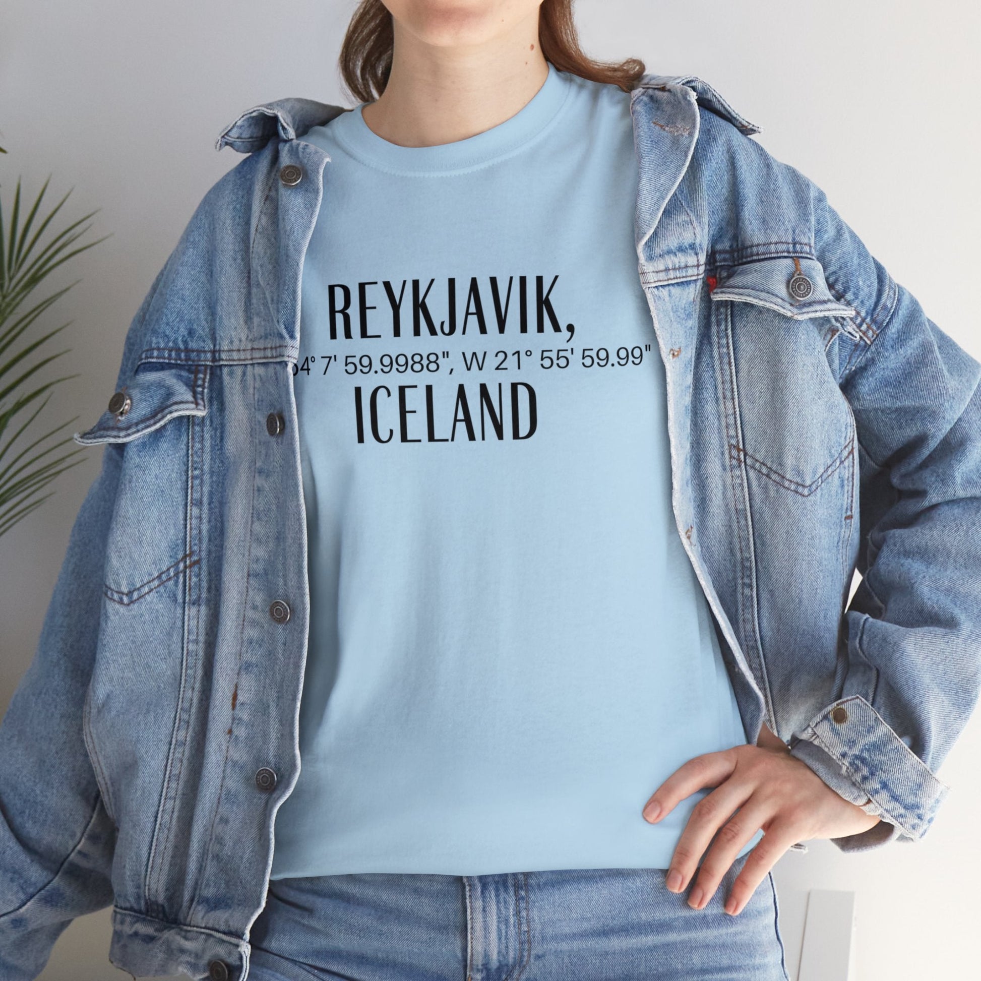 Reykjavik Iceland Coordinates T-Shirt, Modern Travel Tee Atlas Wanderlust