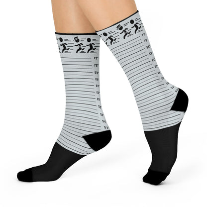 Jailbird Socks! Unisex One Size Stretchy Atlas Wanderlust