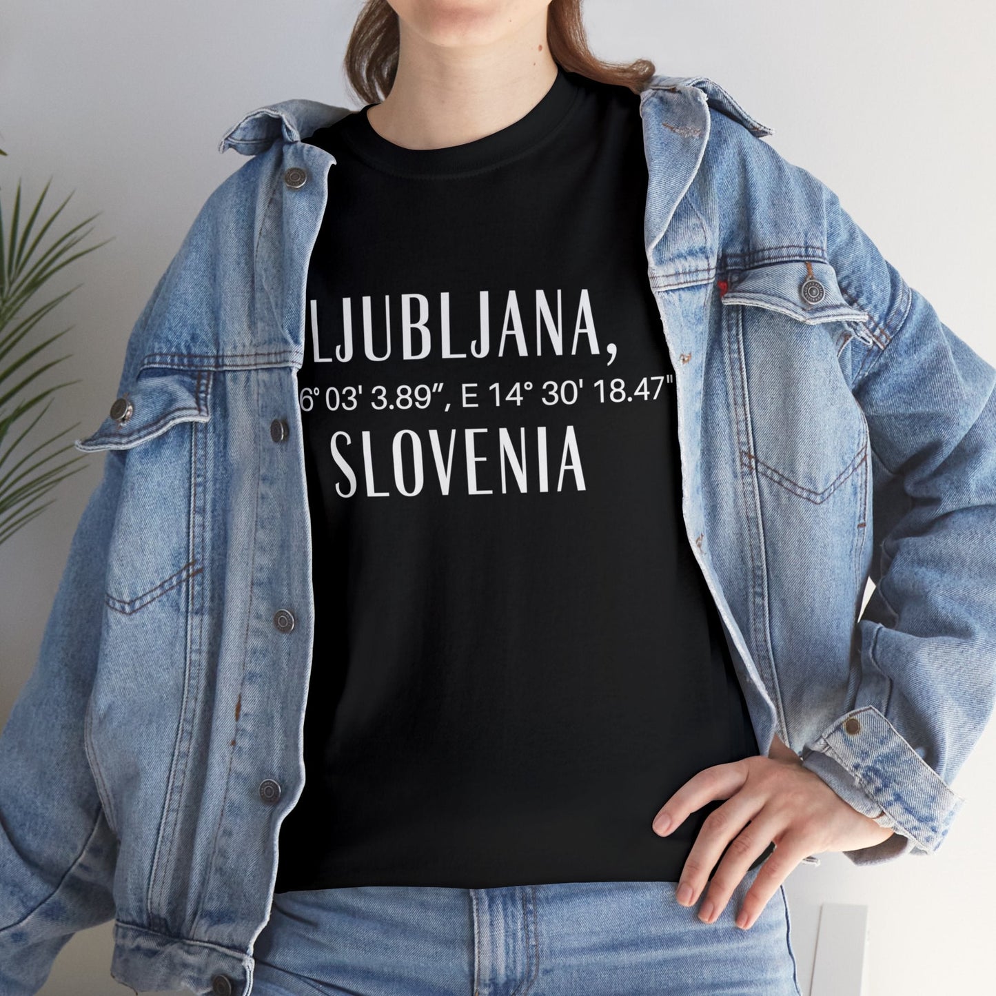 Ljubjana Slovenia Coordinates Tee, Modern Travel Tee Atlas Wanderlust