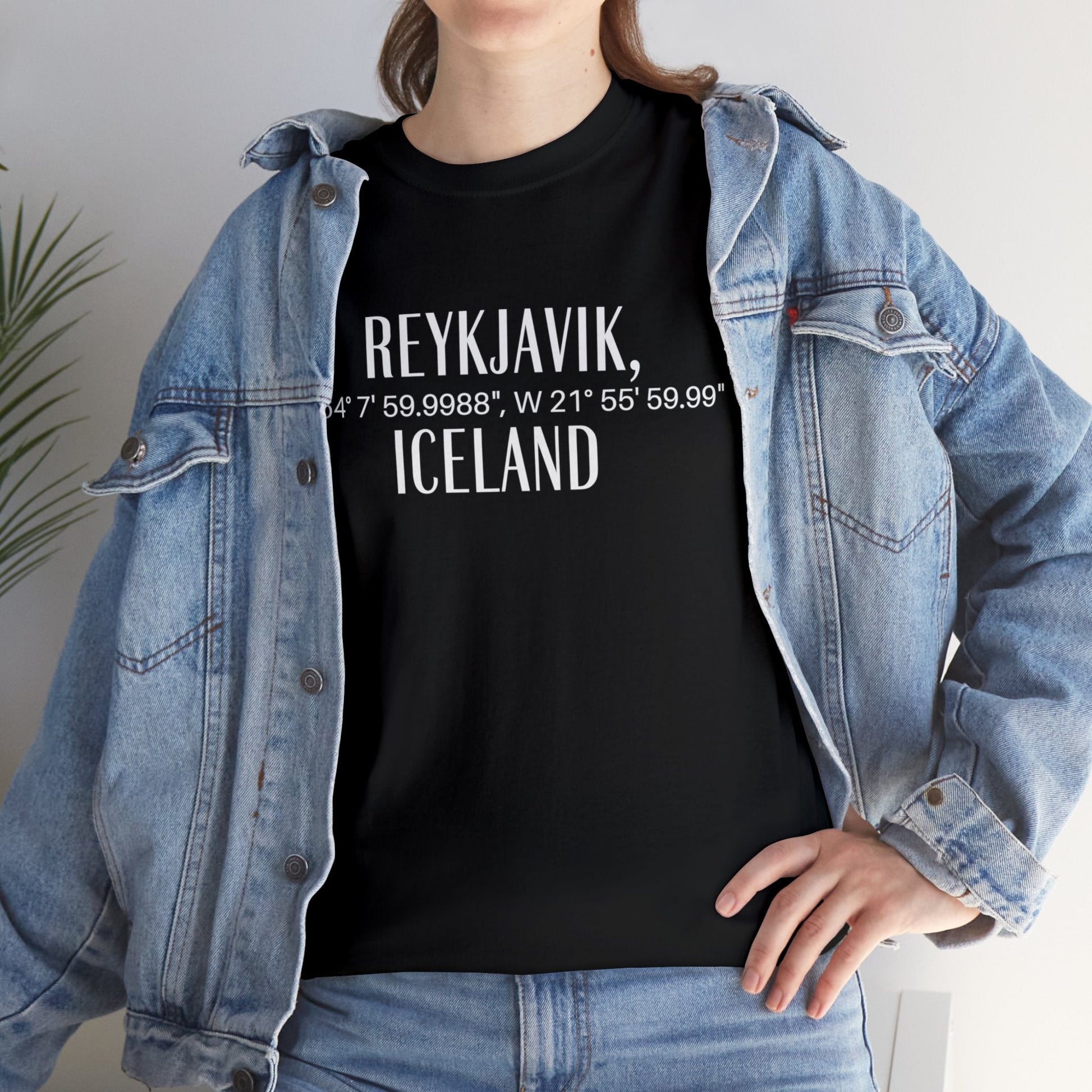 Reykjavik Iceland Coordinates T-Shirt, Modern Travel Tee Atlas Wanderlust