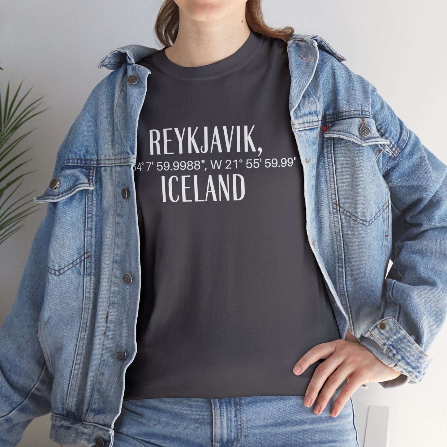 Reykjavik Iceland Coordinates T-Shirt, Modern Travel Tee Atlas Wanderlust