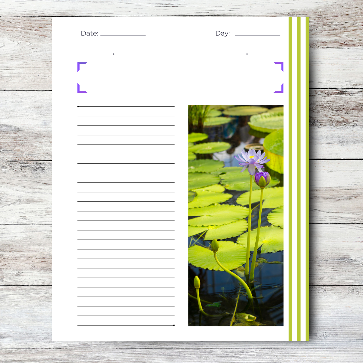 Journal of an Introvert: Aware / Independent / Reserved Atlas Wanderlust