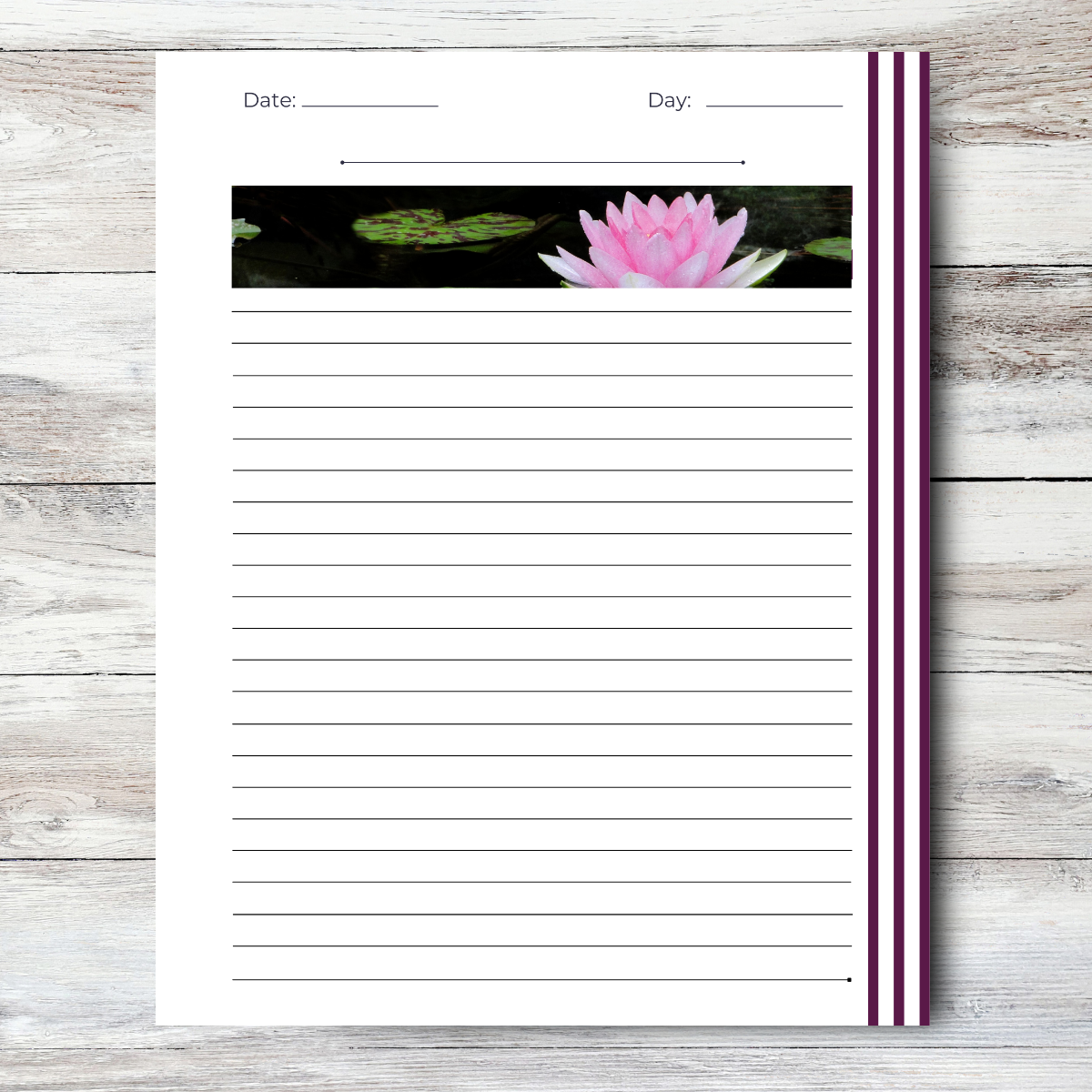 Journal of an Introvert: Aware / Independent / Reserved Atlas Wanderlust