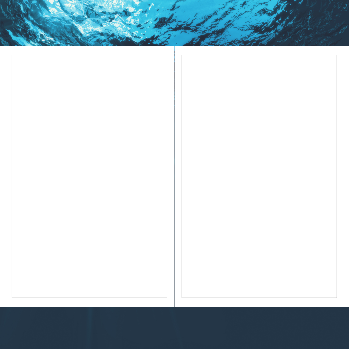 Octopus Sketchbook Atlas Wanderlust