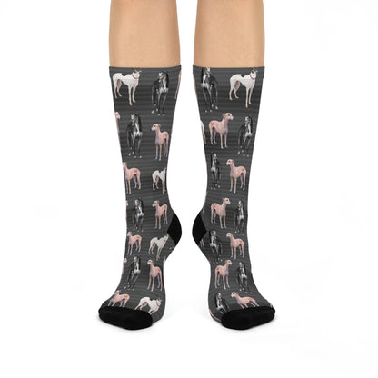 Greyhound Socks Photoshoot Unisex Adult Stretchy Mid Calf Original Atlas Wanderlust