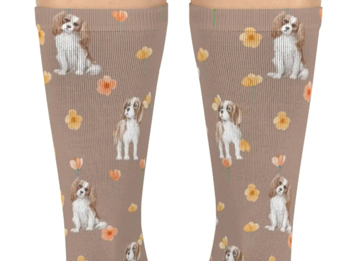 King Charles Cavalier Socks | Charles Spaniel Socks | The Dapper Dogg