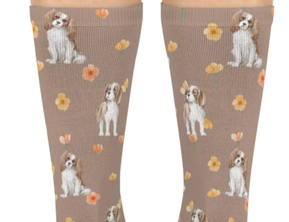 King Charles Cavalier Socks | Charles Spaniel Socks | The Dapper Dogg