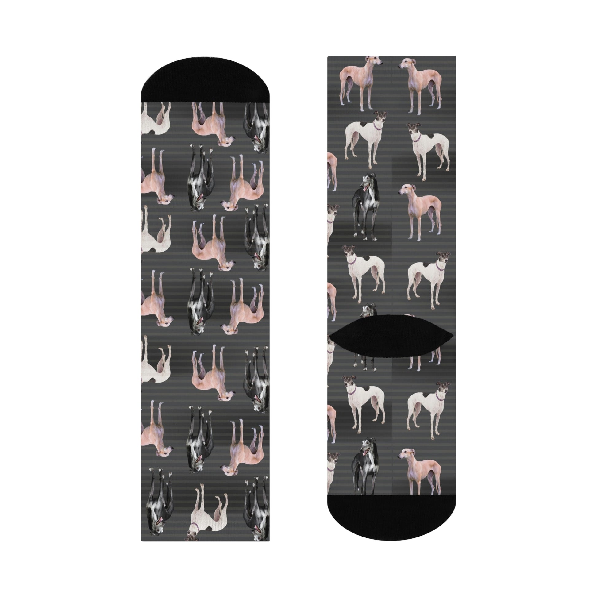 Greyhound Socks Photoshoot Unisex Adult Stretchy Mid Calf Original Atlas Wanderlust